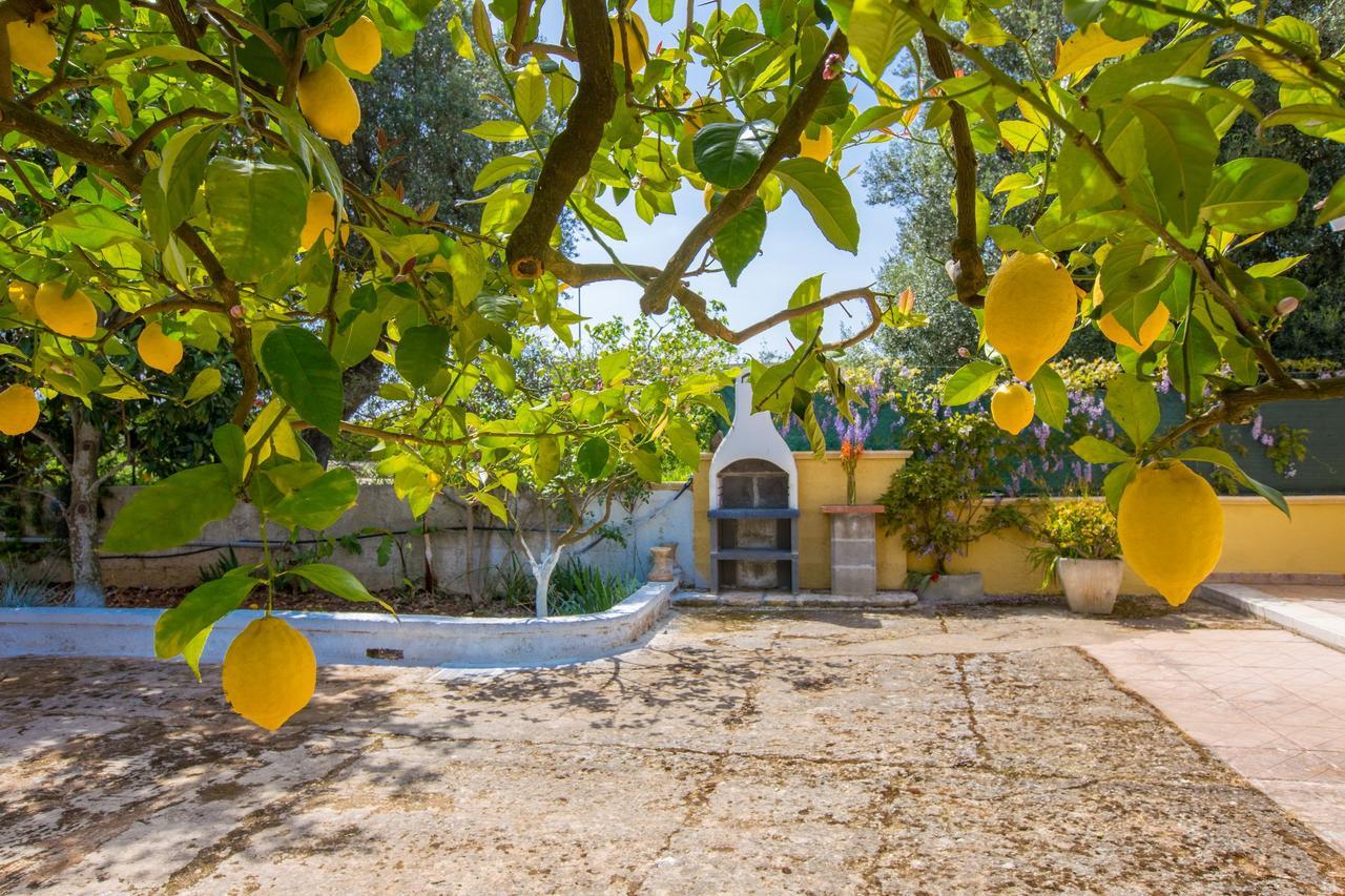 Casa Mediterranea Dei Normanni Сан-Вито-деи- Норманни Экстерьер фото